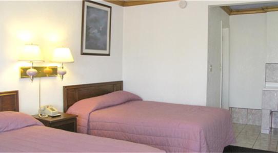 Viking Motel Lodi Rom bilde